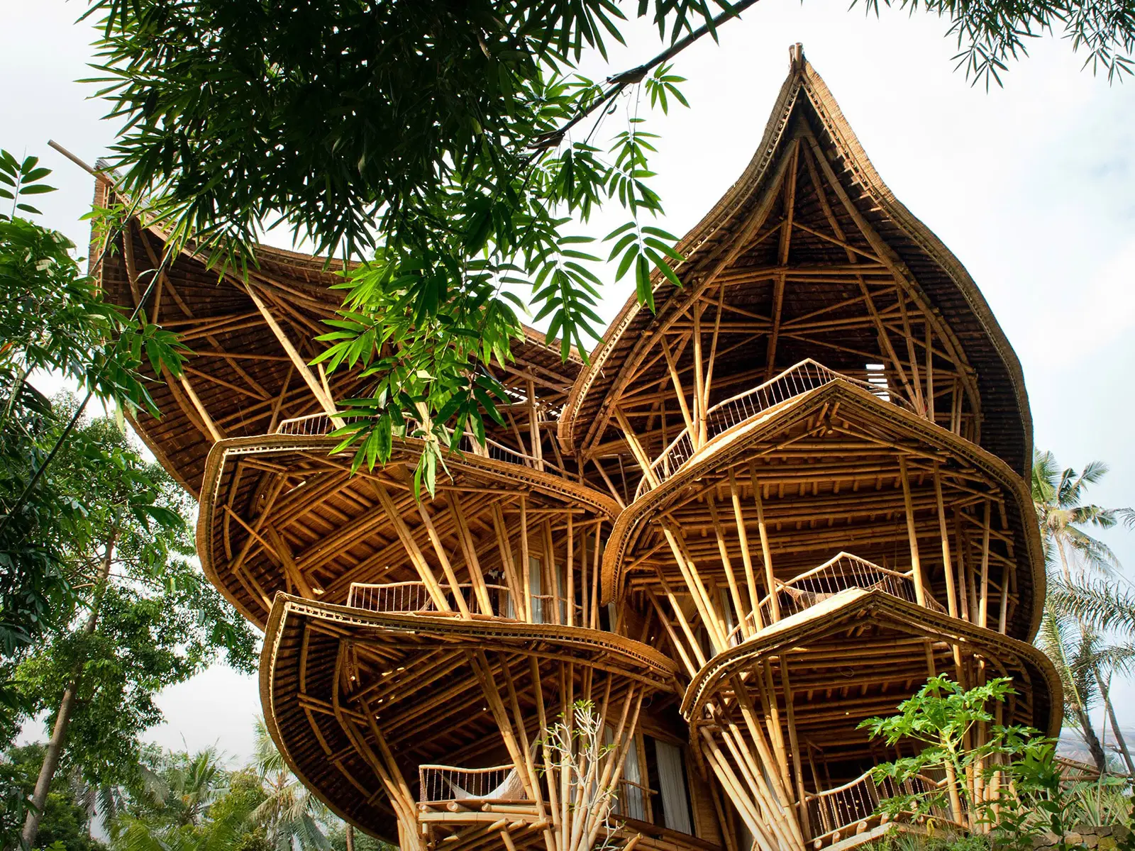 Bambù per costruire le case green del futuro