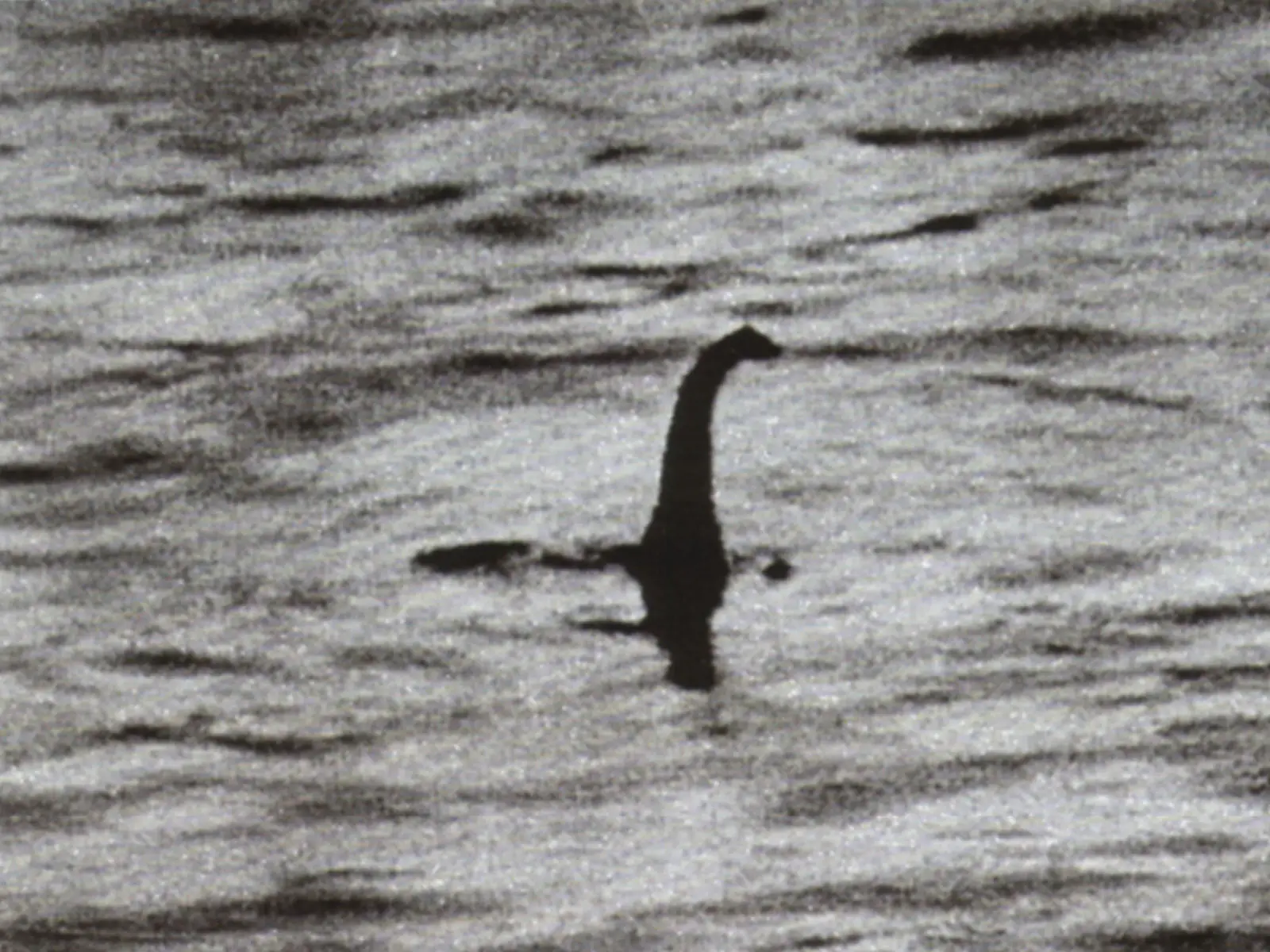 Anche l’Italia ha il suo mostro di Loch Ness: vi presentiamo Bennie