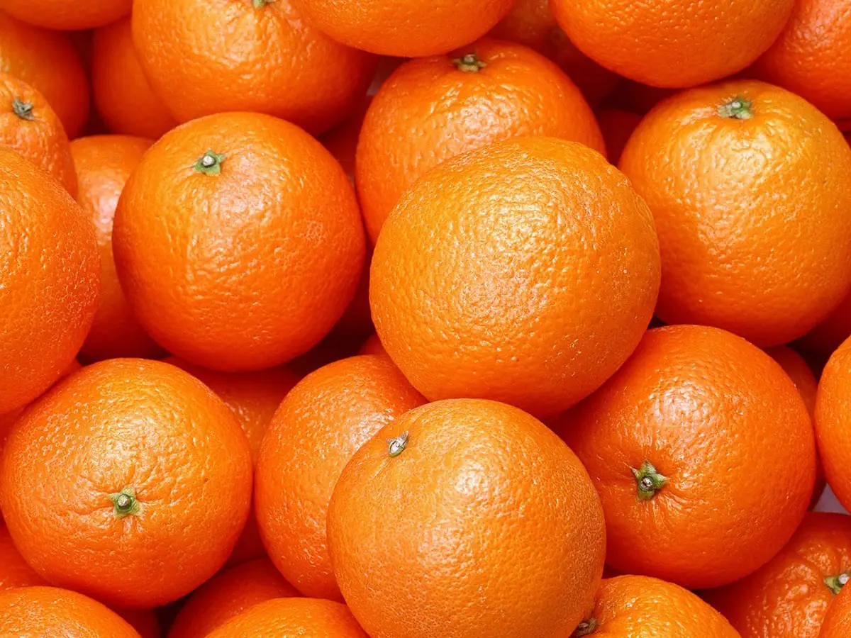 mandarino e clementina