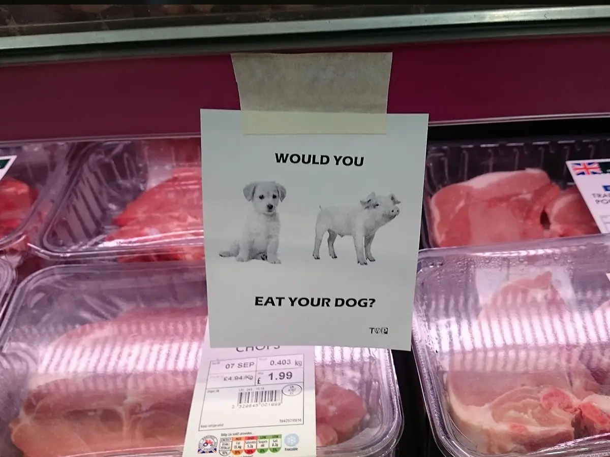 Attivismo vegan in Australia a colpi di sticker anti carne