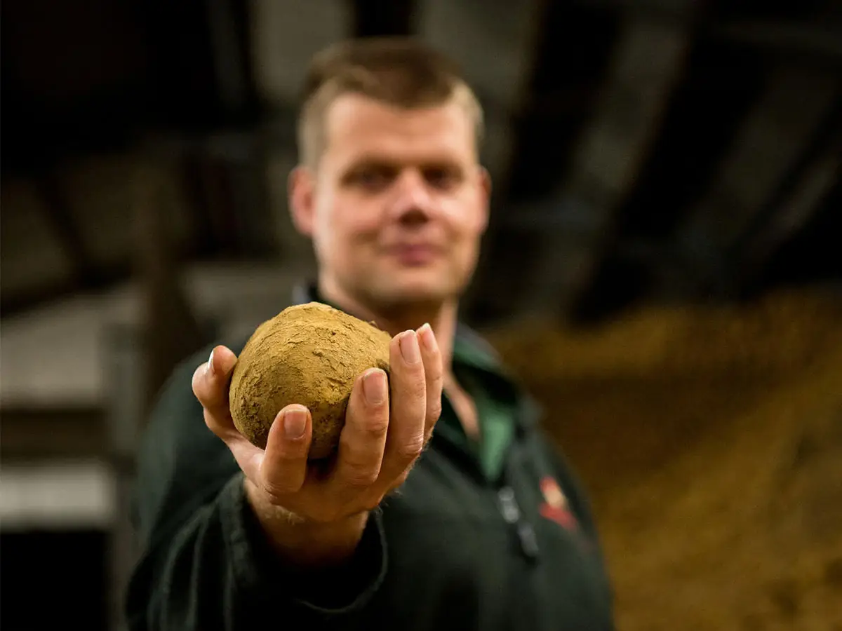 Coltivare patate nel futuro con l'agricoltura di precisione Jacob van den Borne
