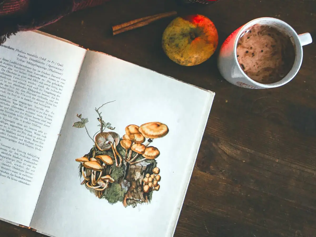 Il caffe ai funghi potrebbe essere un nuovo trend salutistico