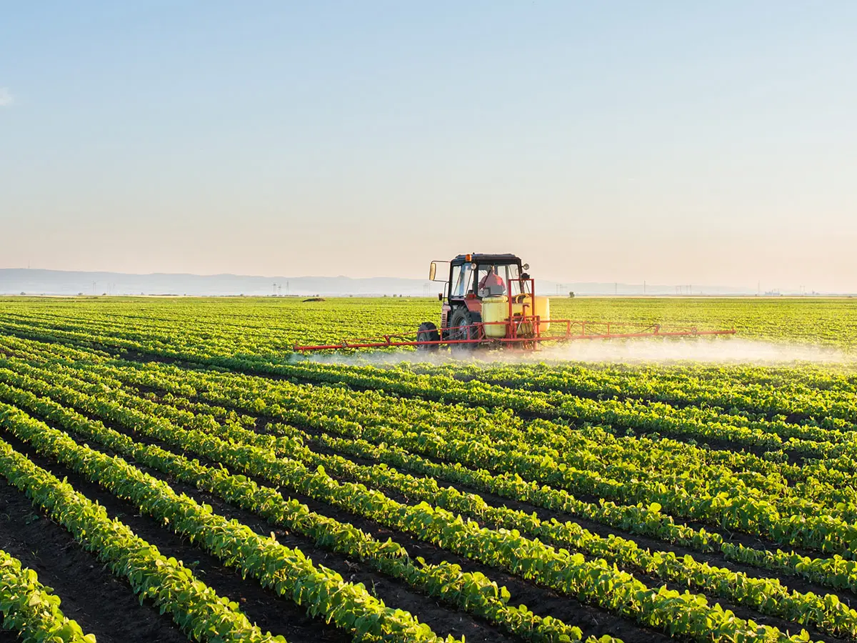 Un quarto del mercato di semi e pesticidi sara controllato da un unico colosso