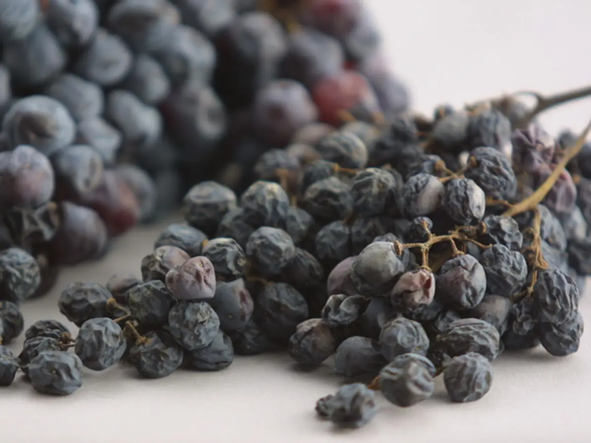 Cosa sono i vini passiti uva passita