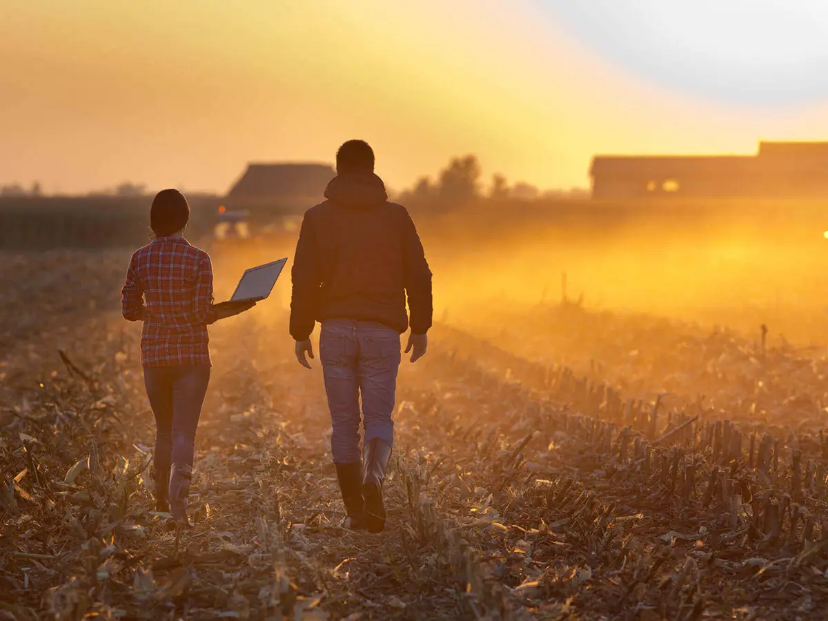 Agricoltura e giovani le nuove startup partono dai campi
