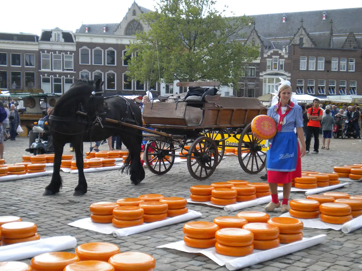 I segreti del mercato del formaggio a Gouda in Olanda