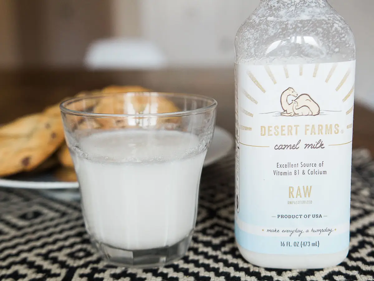 latte di cammello proprietà e benefici desert farm