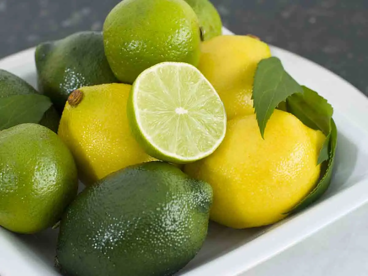 limone lime differenze