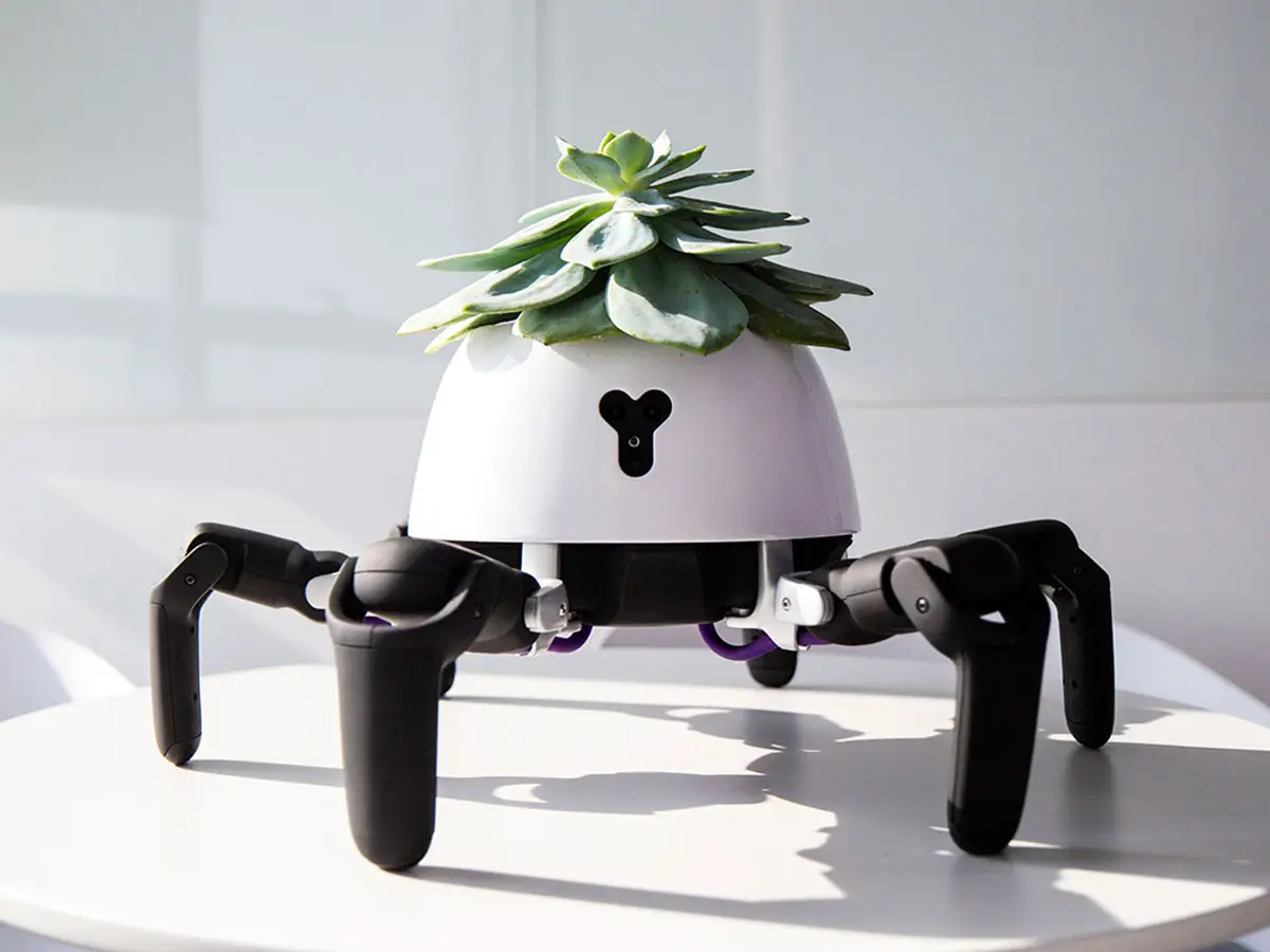 robot segue luce curare piante
