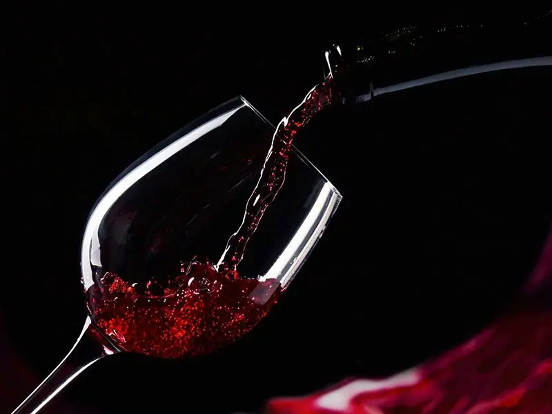 Migliori vini biologici e biodinamici rossi