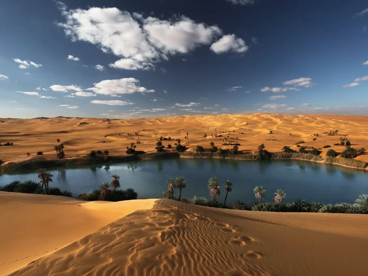 Eolico e solare per riportare il verde nel Sahara