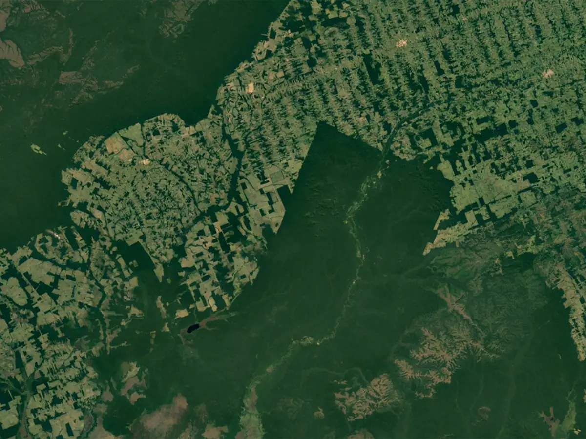 satellite contro deforestazione