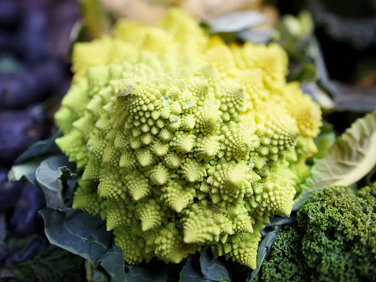 verdure autunnali broccolo romanesco
