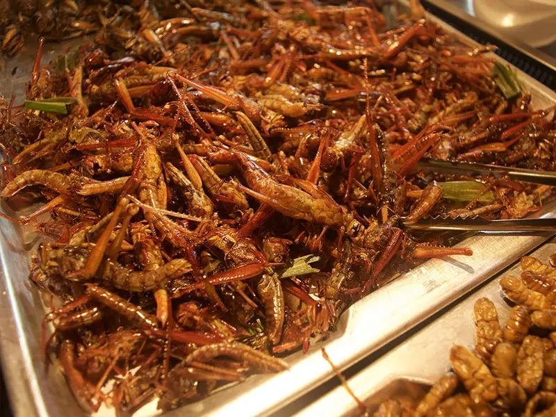 insetti-fritti-Bangkok