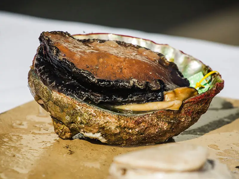 cos’è abalone