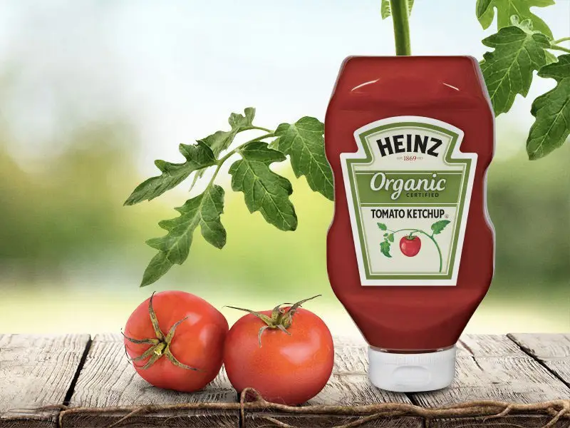 ketchup biologico