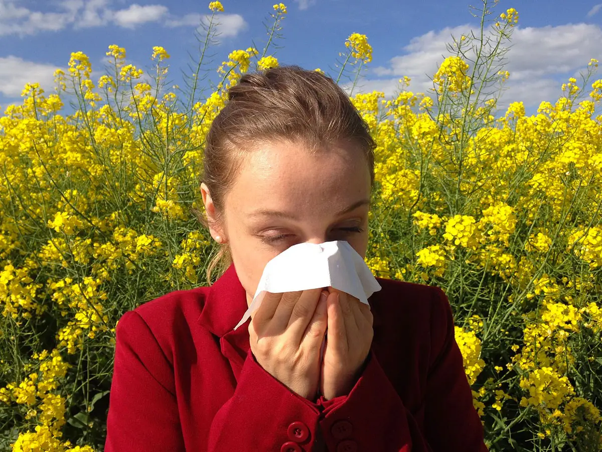 cambiamento climatico allergia polline