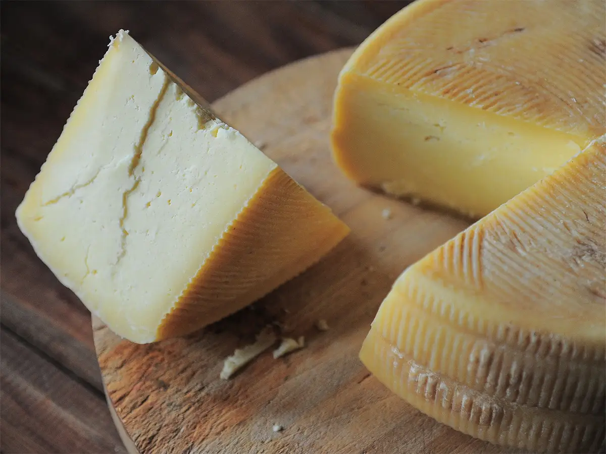 formaggio artificiale copertina