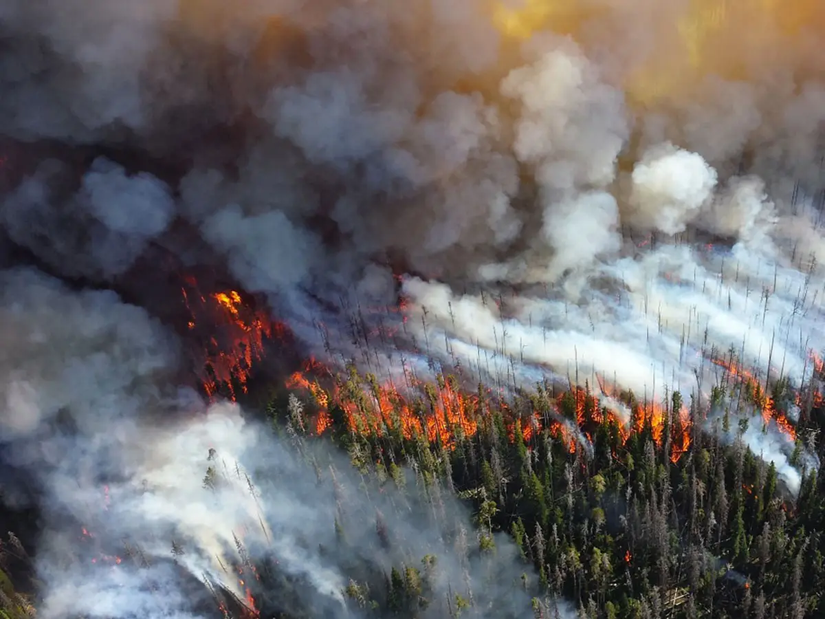 incendi Siberia emergenza climatica