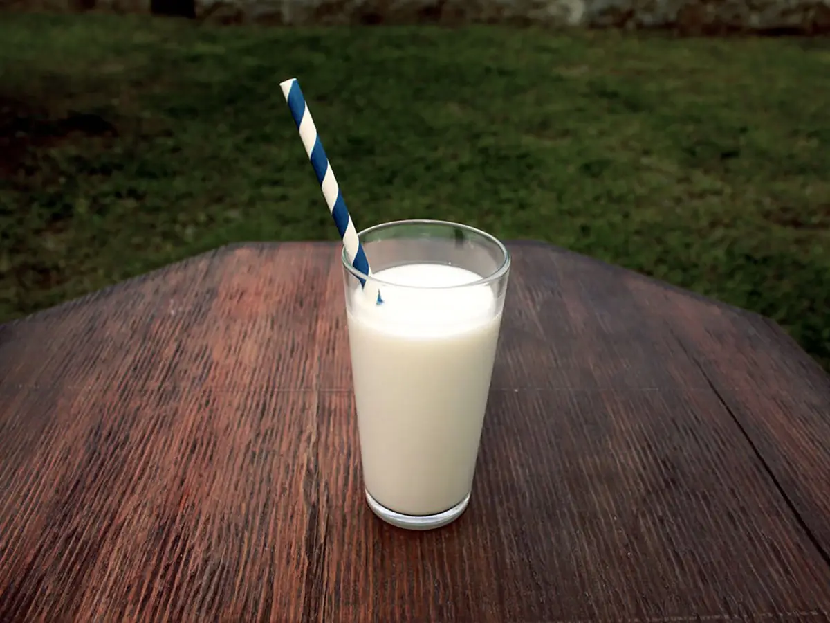 Qual è il latte più sostenibile?