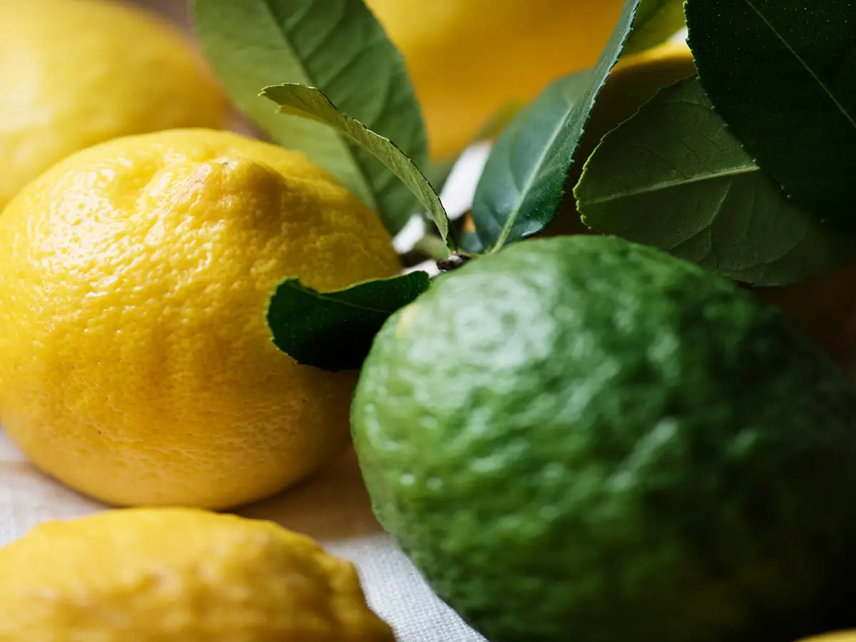 limoni lime differenze
