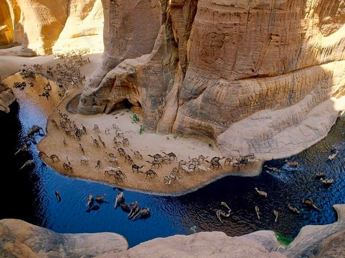 oasi nera sahara Guelta d'Archei