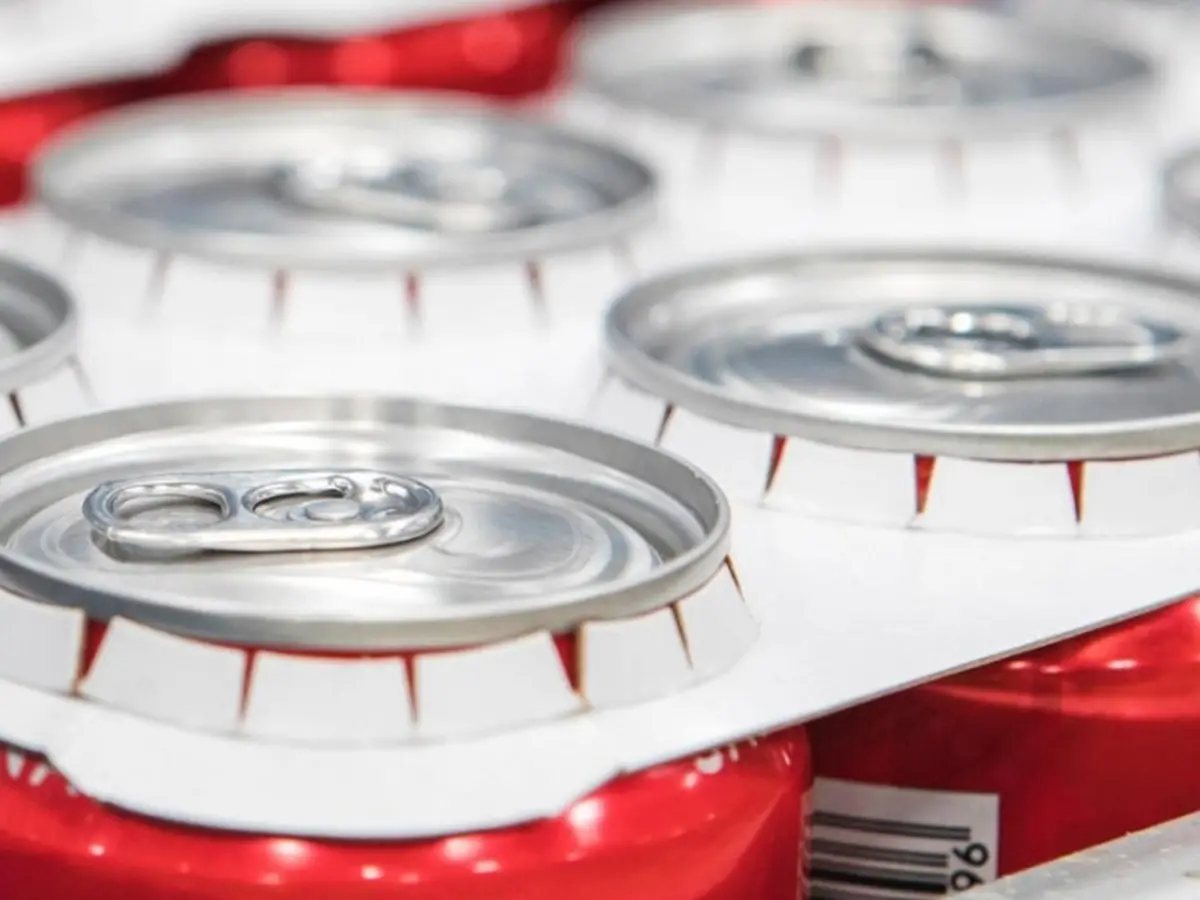 Coca-Cola packaging cartone