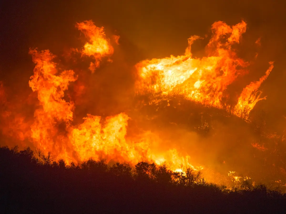 Amazzonia incendi Brasile