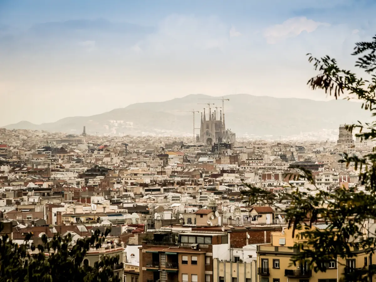 Barcellona ha avviato un percorso di rinaturalizzazione della città che punta a realizzare più aree verdi e spazi ospitali per insetti, uccelli e pipistrelli
