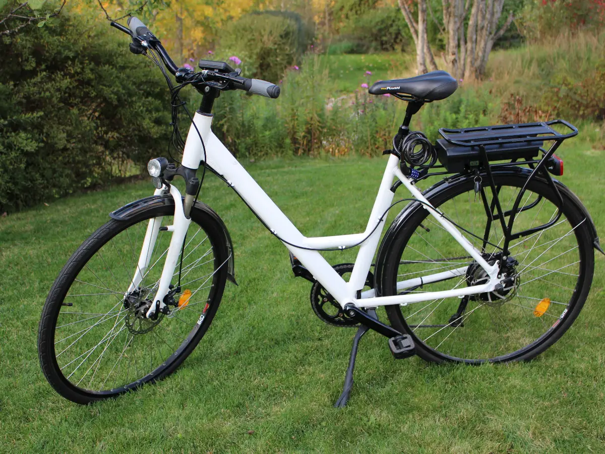 Una bici a pedalata assistita è dotata di un motorino elettrico che aiuta la spinta del ciclista. Per rientrare nella categoria non deve consentire di superare i 25 km/h
