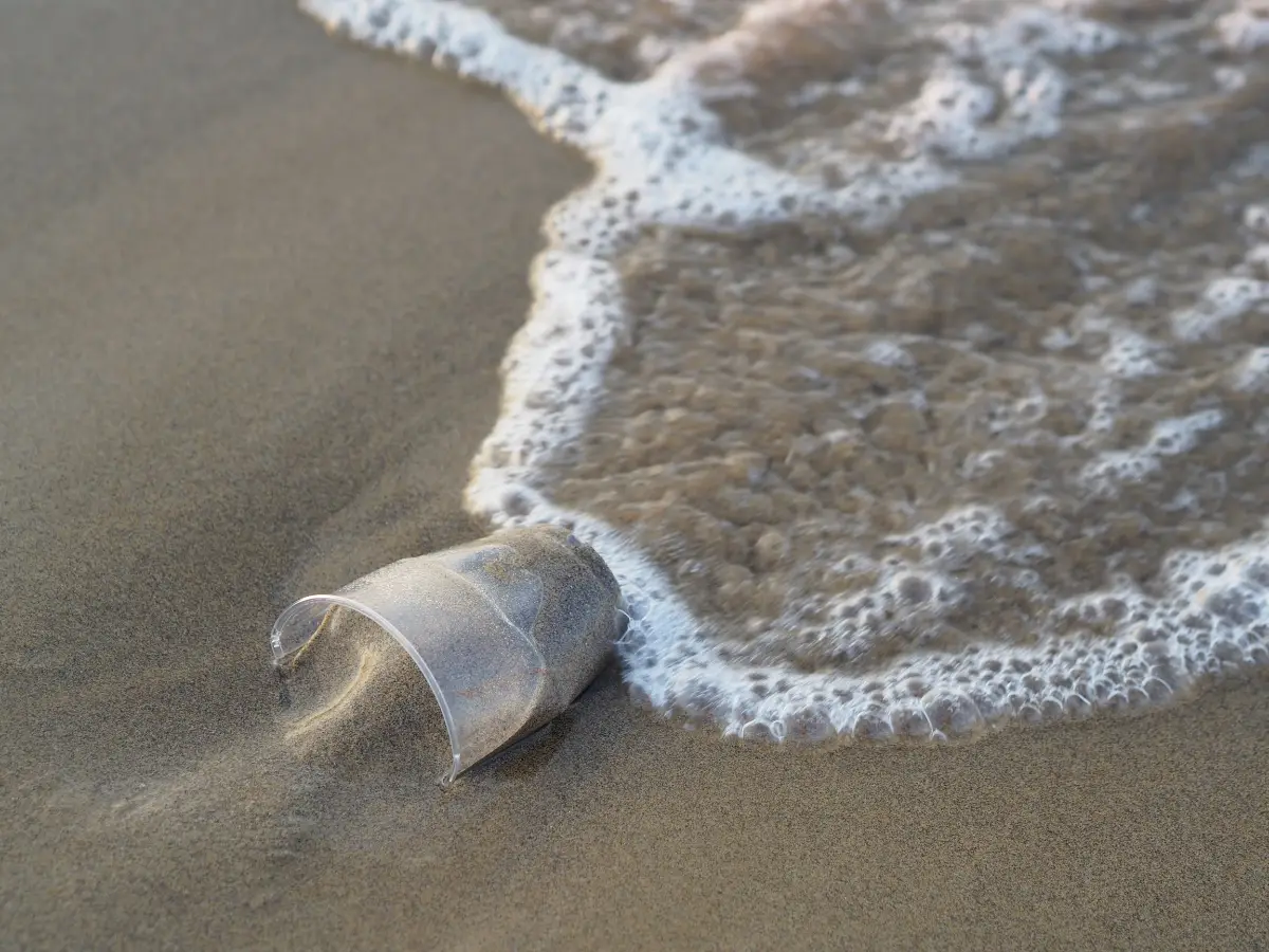 Capire come vengono trasportate le microplastiche dalle correnti degli oceani può aiutare a contrastare l’inquinamento