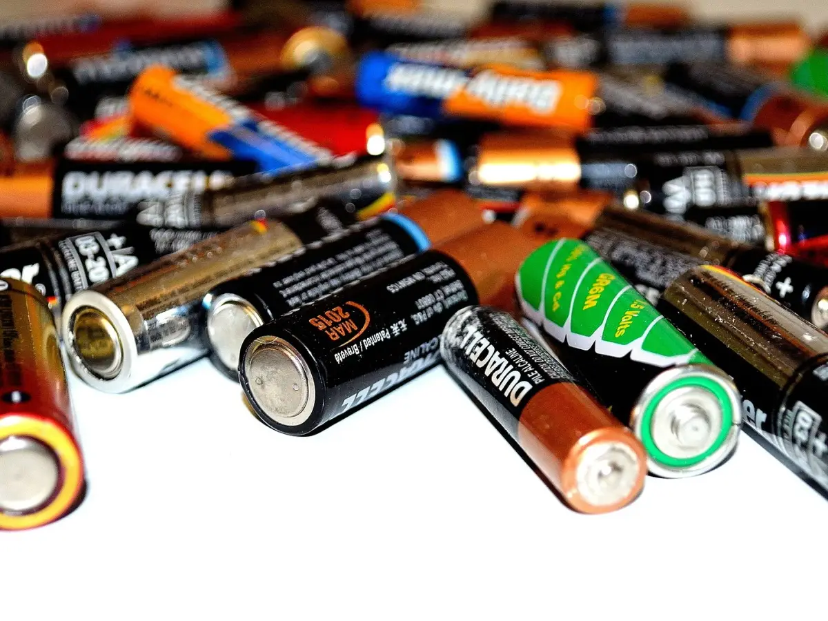 batterie scarti alimentari