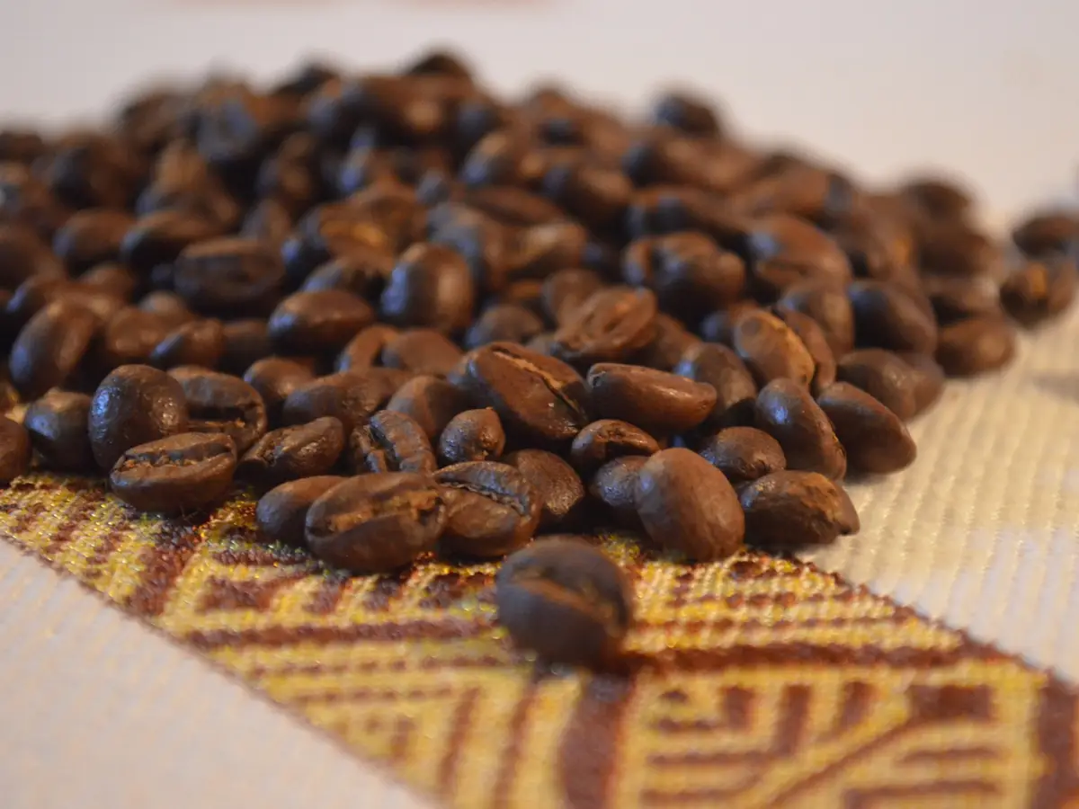 Caffé selvatico Etiopia