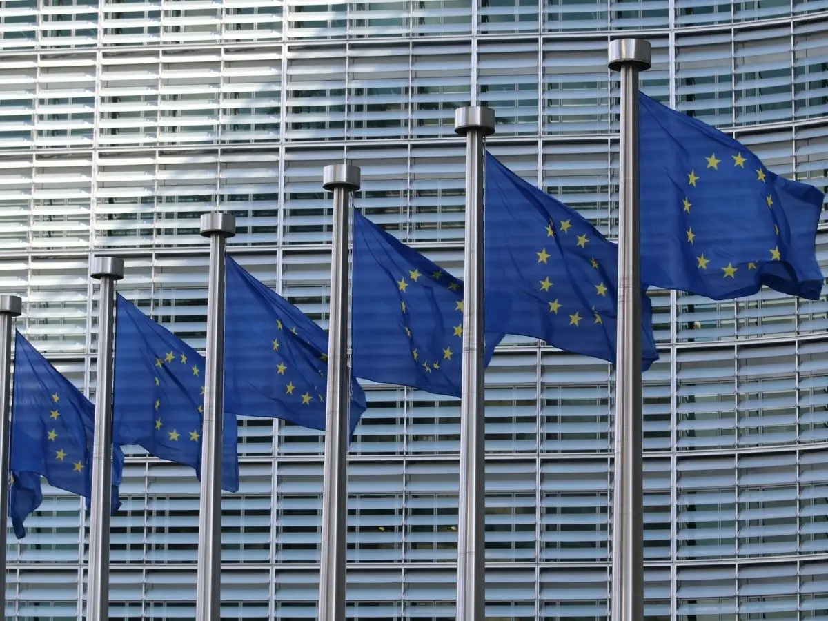 L'Unione europea vuole bloccare le importazioni di prodotti derivanti da deforestazione