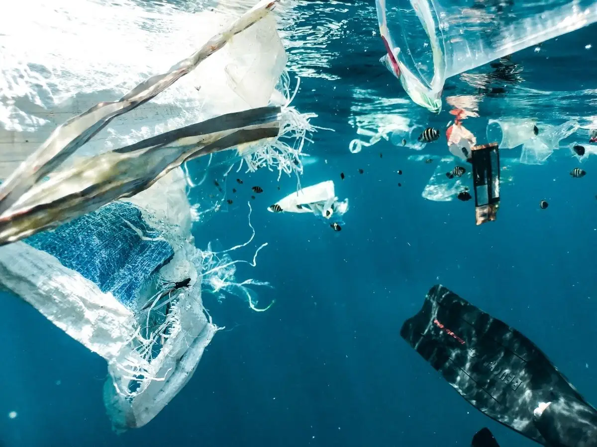 Senza azioni il peso dei rifiuti di plastica nei mari supererà quello dei pesci