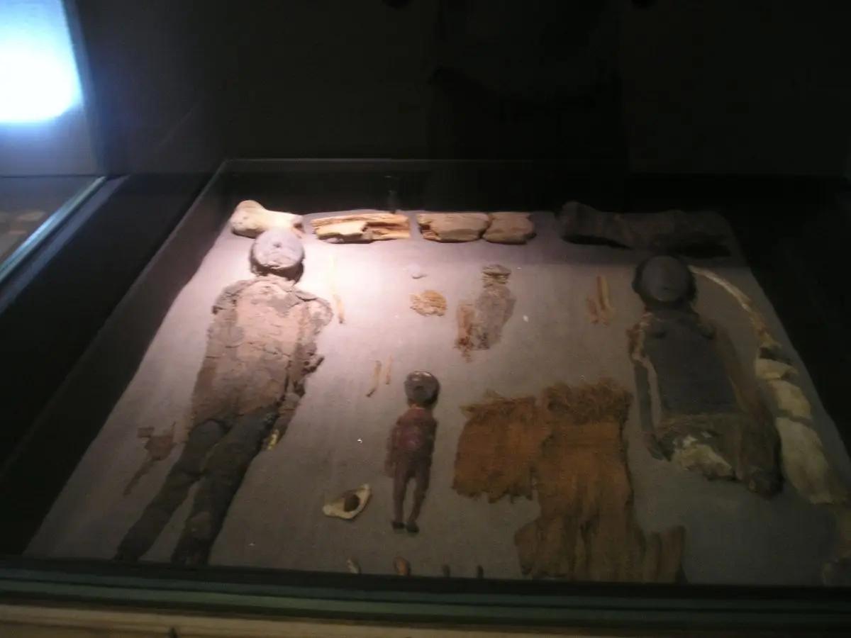 La crisi climatica minaccia le mummie della cultura Chinchorro, in Cile