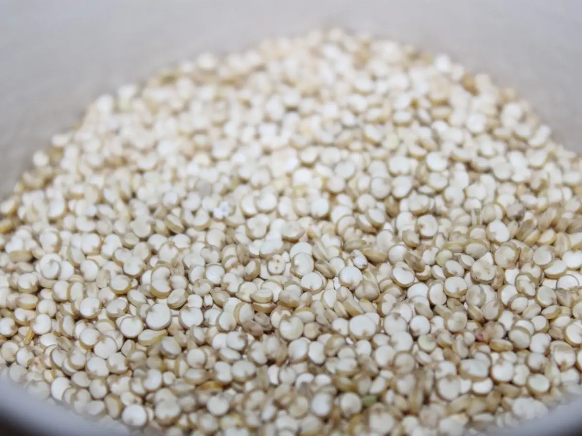 La quinoa rientra tra gli psudocereali, è un alimento originario del Sudamerica con eccellenti valori nutrizionali ed è un valido sostituto del riso.