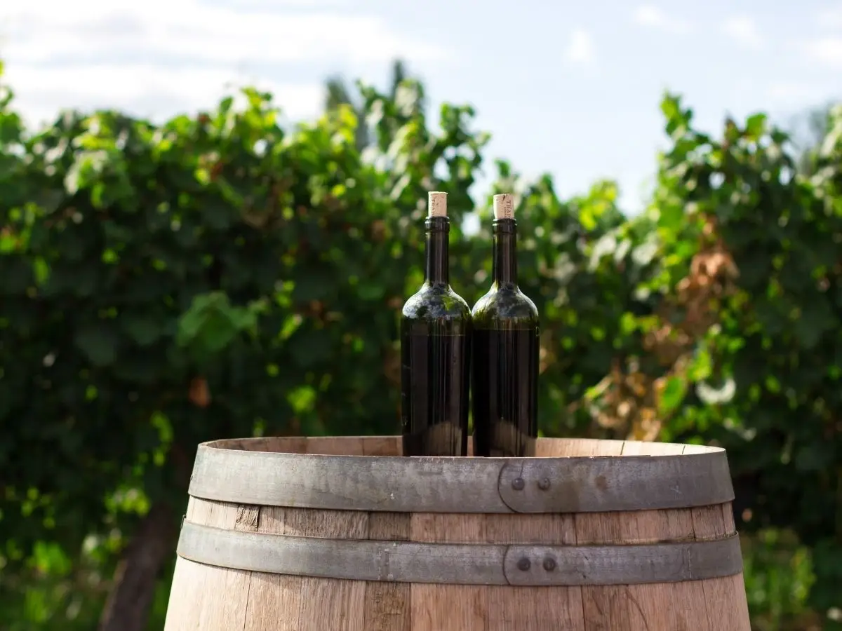 Anche il vino può essere biologico o biodinamico, aggettivi che si riferiscono al metodo di coltivazione delle uve e di produzione della bevanda.