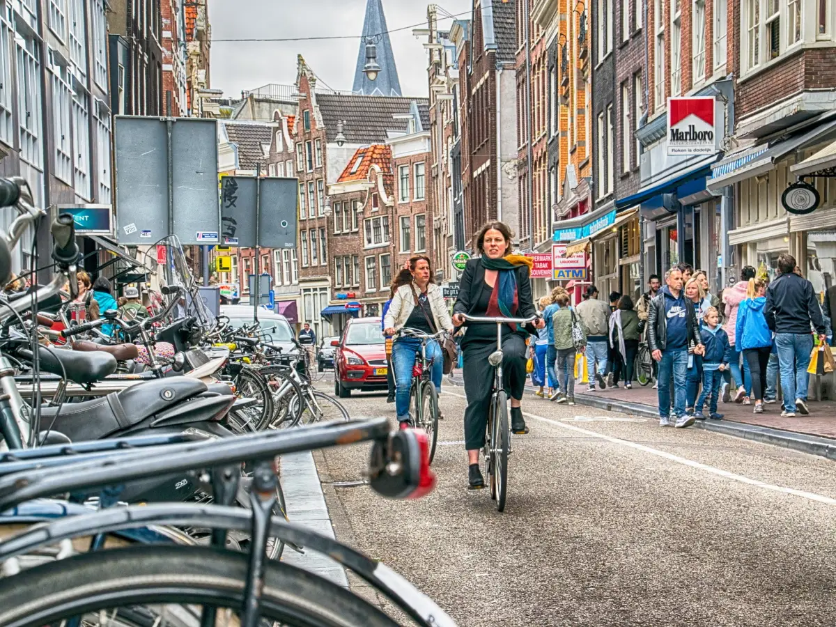 bicicletta olandesi emissioni