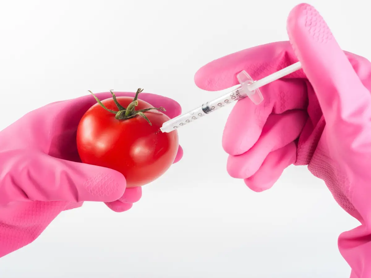 editing genetico cibo
