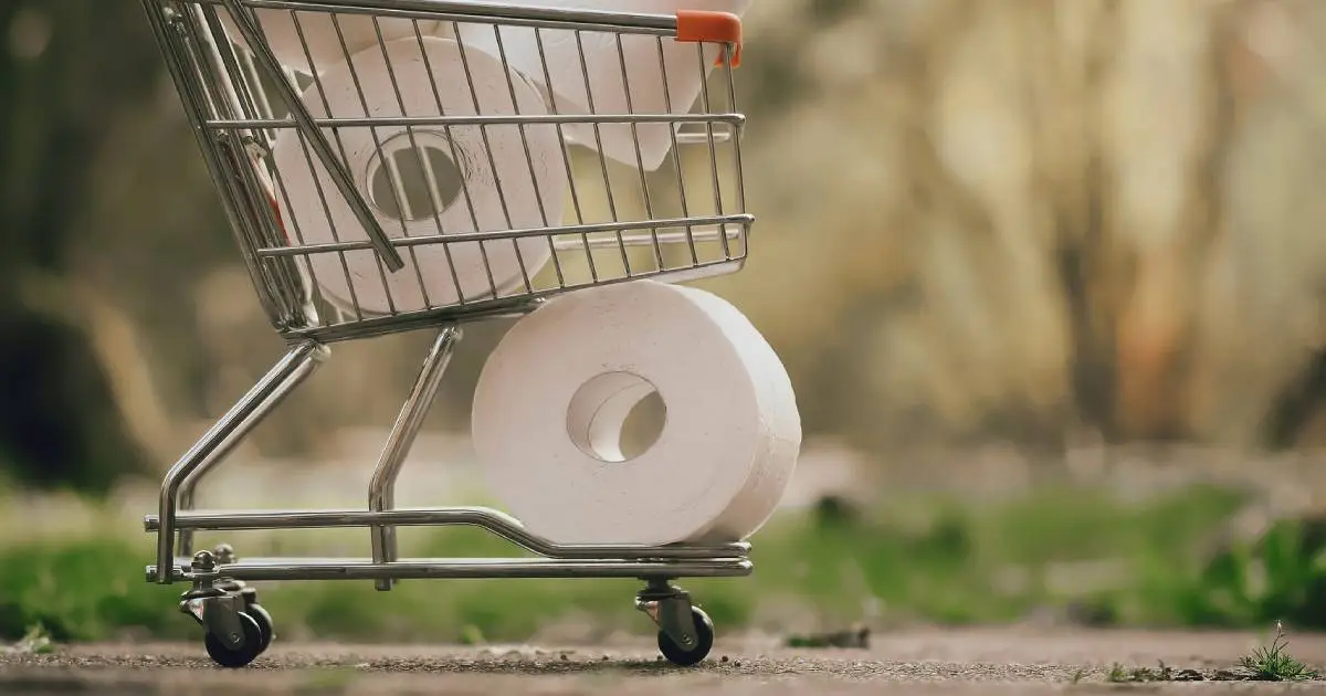 Some toilet paper brands are destroying Canada’s forests