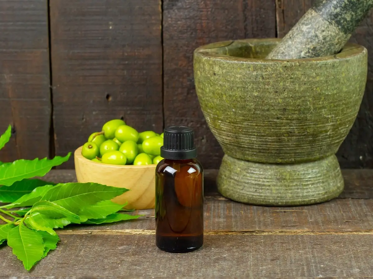 olio neem per piante