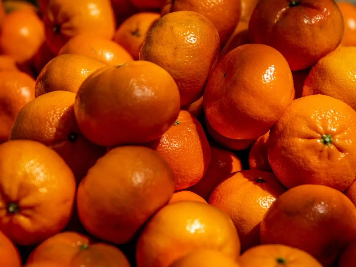 differenza mandarini clementine