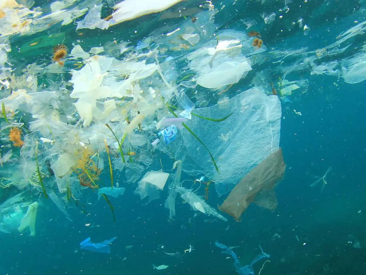 La plastica dispersa negli oceani aumenta la loro acidità
