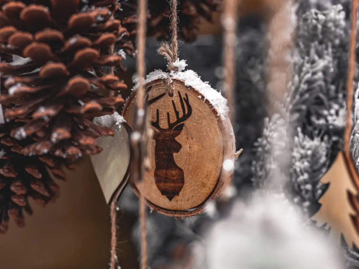 decorazioni natalizie naturali rami