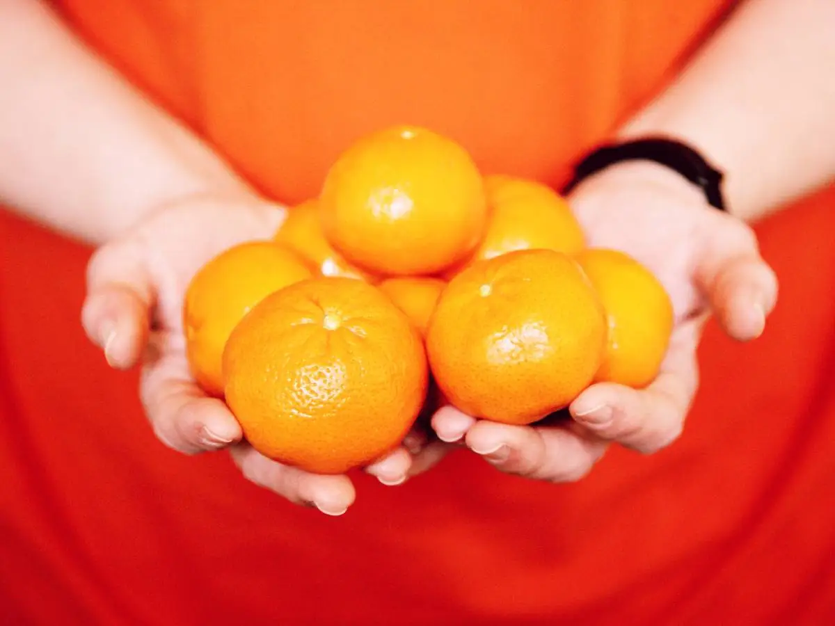 differenza mandaranci clementine