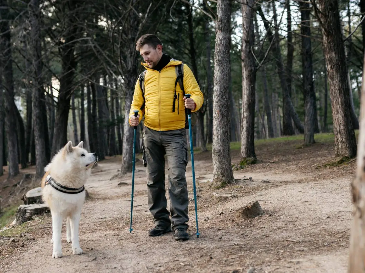 cammini in Italia con cane