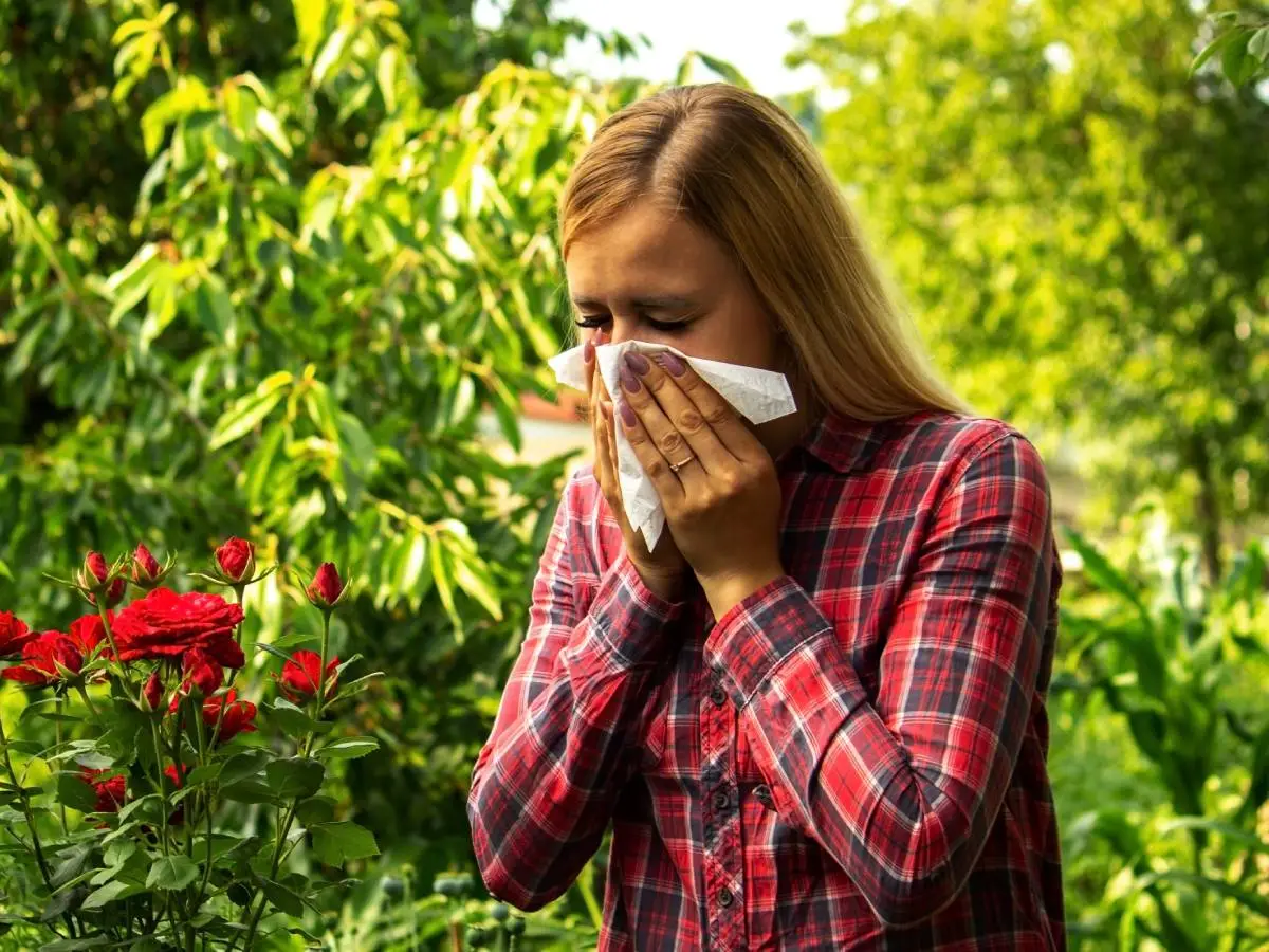 allergie cibi da evitare
