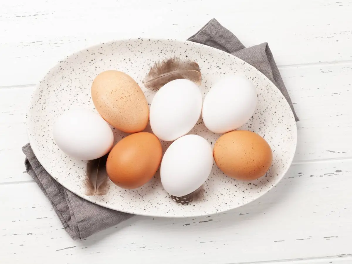differenza uova bianche marroni