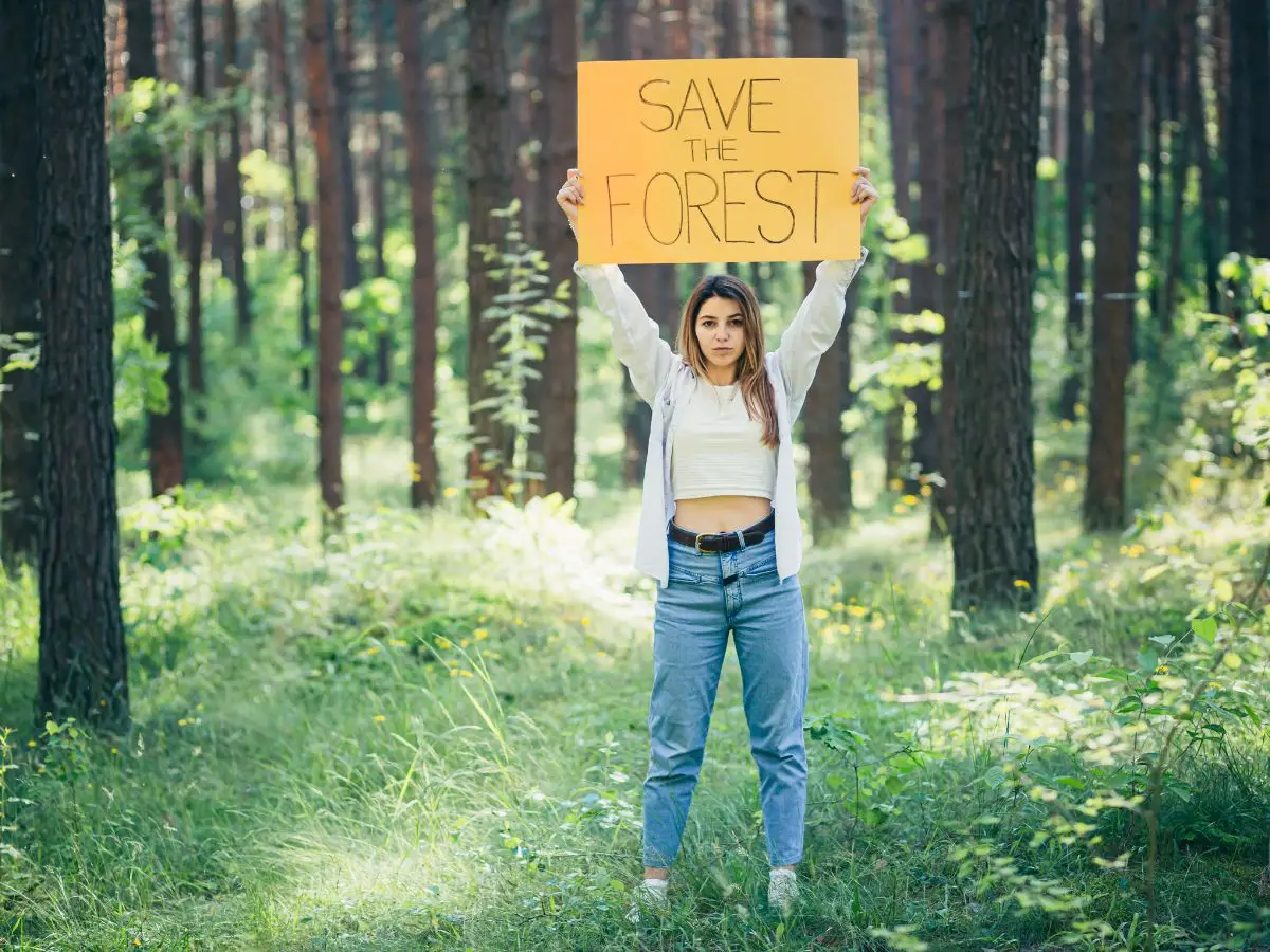 sostenibilità gestione foreste